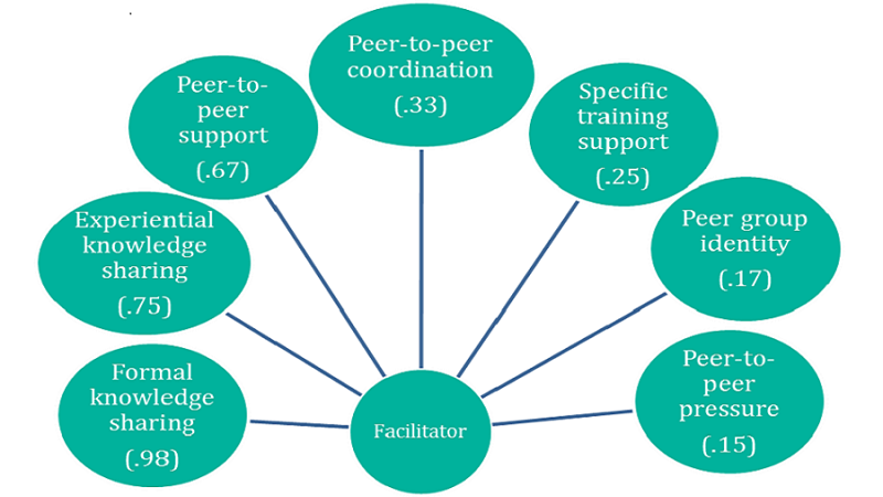 Figure 3a Peer Learning Guide