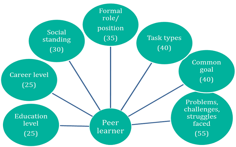 Figure 6a Peer Learning Guide