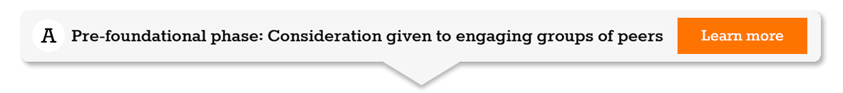 Figure 1-A Peer Learning Guide