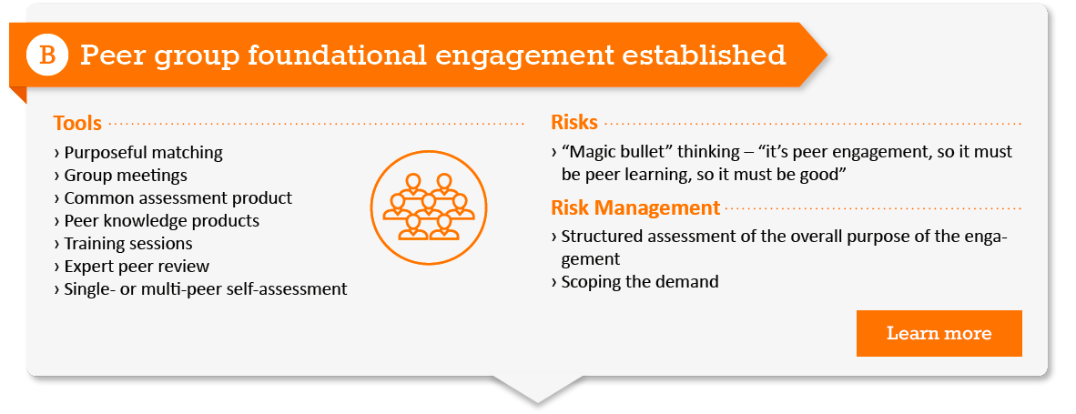 Figure 1-B Peer Learning Guide